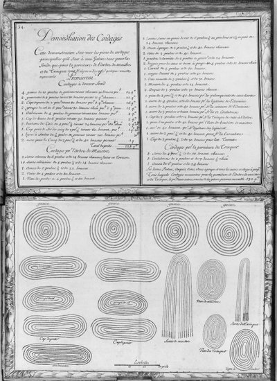 Ropes of a Galley, Plate 34, Illustration from 